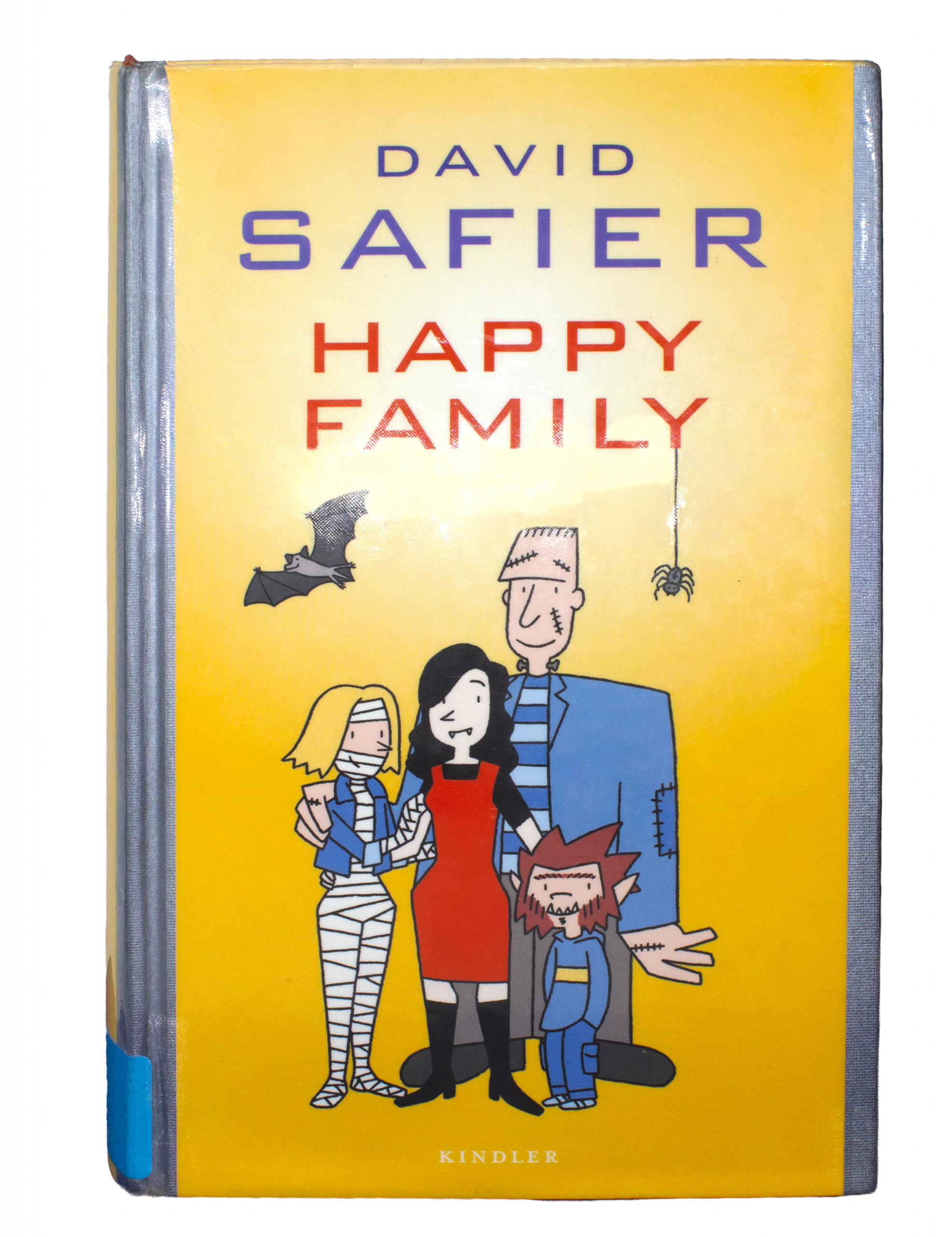 Buch: Happy Family von David Safier